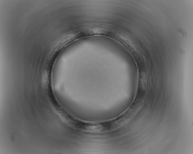 X0000114020410200910161801