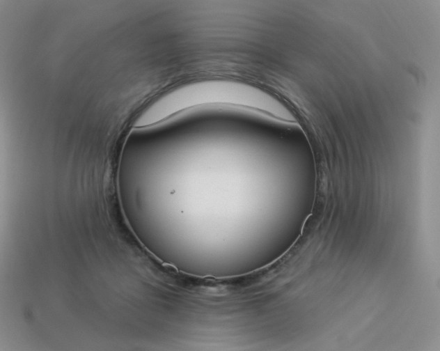 X0000114020411200910161801