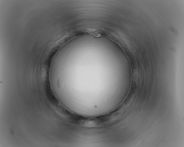 X0000114020412200910161801