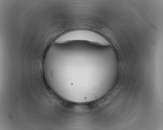 X0000114020415200910161801