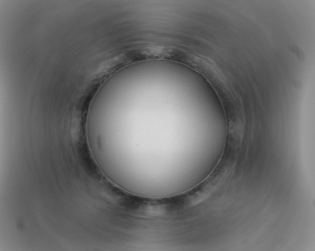 X0000114020416200910161801