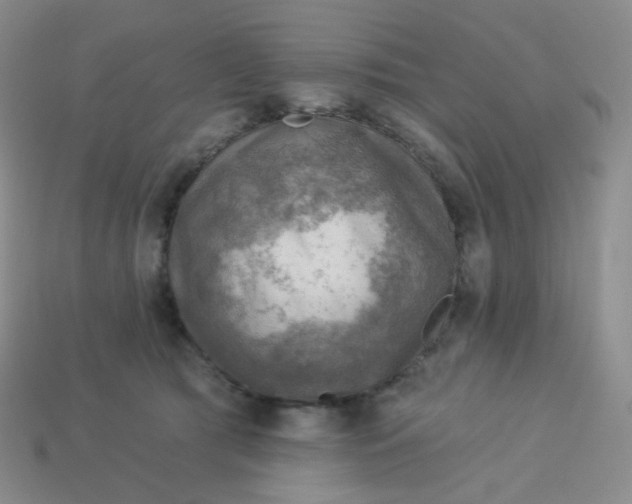 X0000114020417200910161801