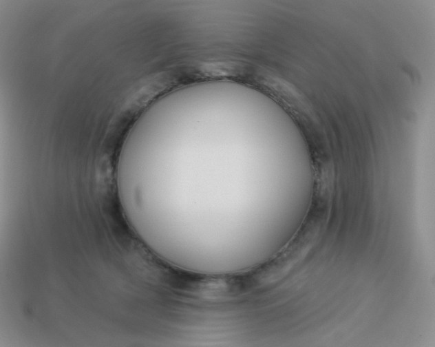 X0000114020418200910161801