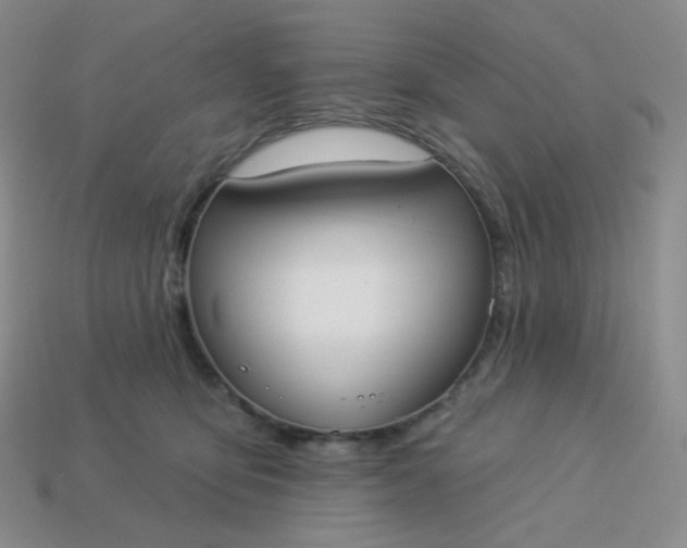 X0000114020419200910161801