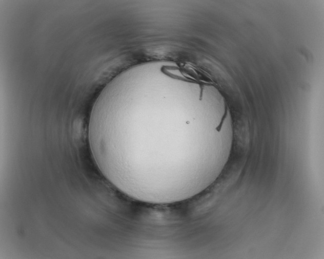 X0000114020420200910161801