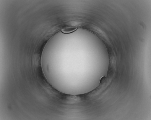 X0000114020421200910161801