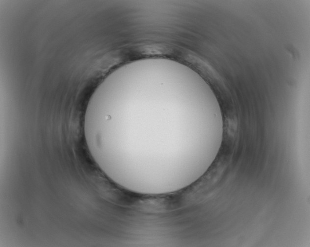 X0000114020422200910161801