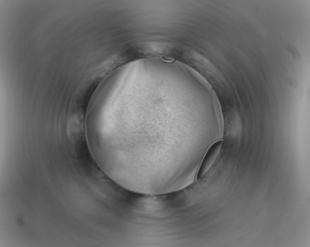 X0000114020425200910161801