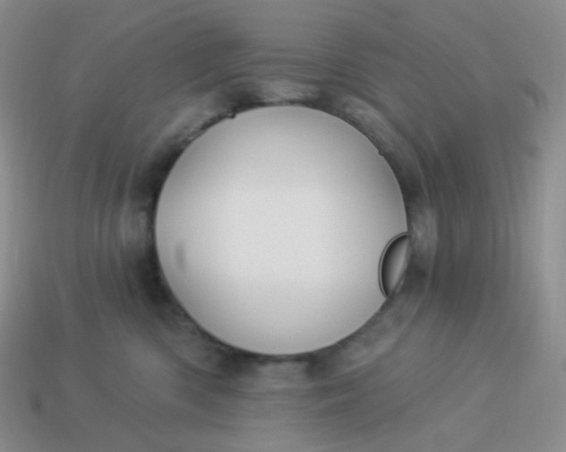 X0000114020426200910161801