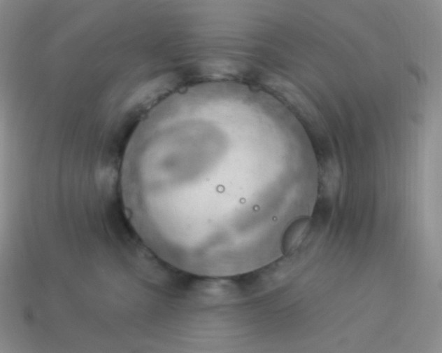 X0000114020427200910161801