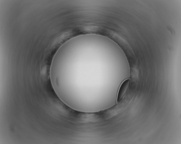 X0000114020428200910161801