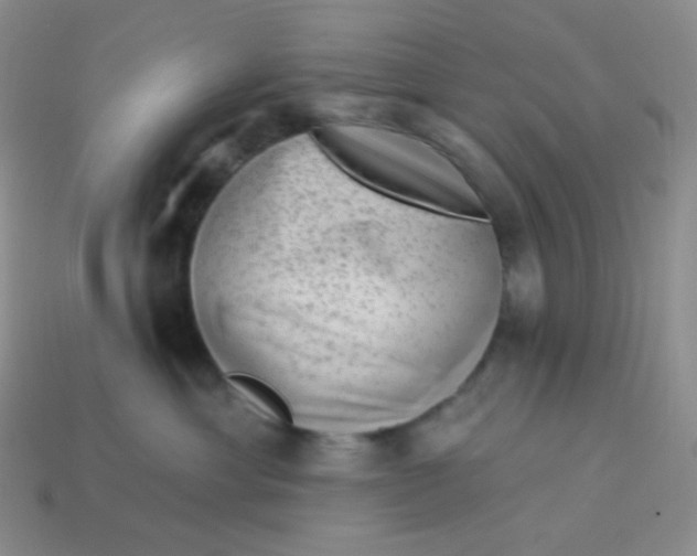 X0000114020429200910161801