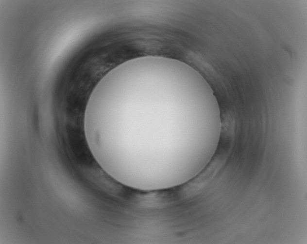 X0000114020430200910161801