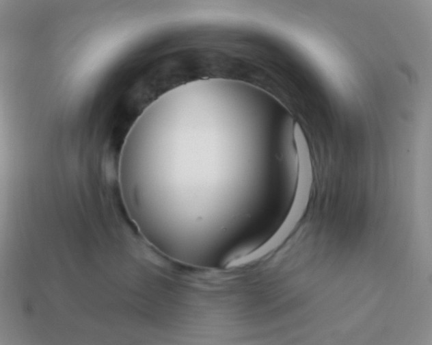 X0000114020431200910161801