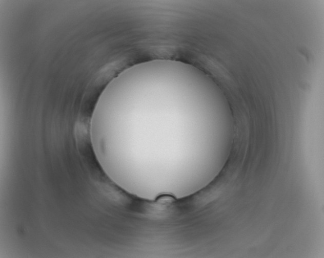 X0000114020432200910161801