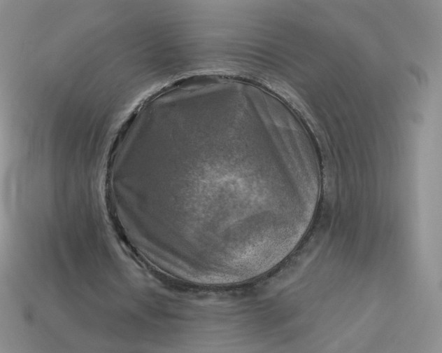 X0000114020434200910161800