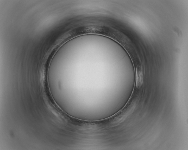 X0000114020435200910161800