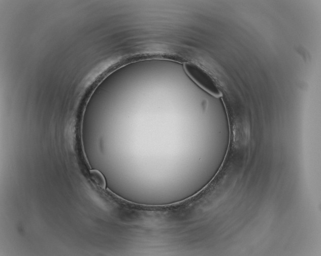 X0000114020436200910161800