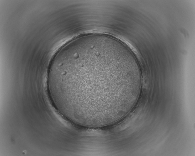 X0000114020437200910161800