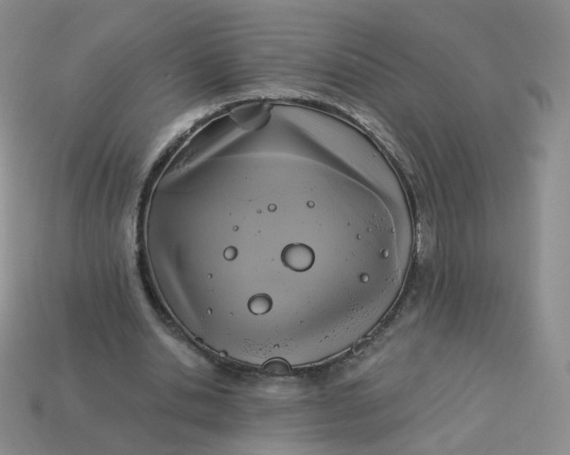 X0000114020438200910161800