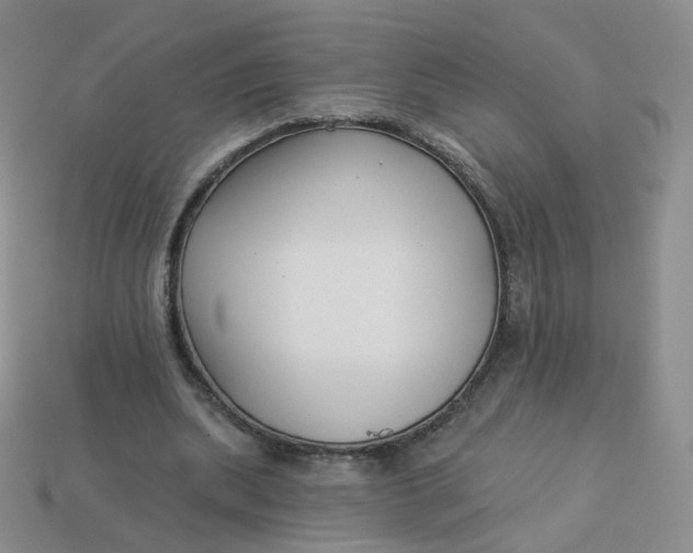 X0000114020439200910161800