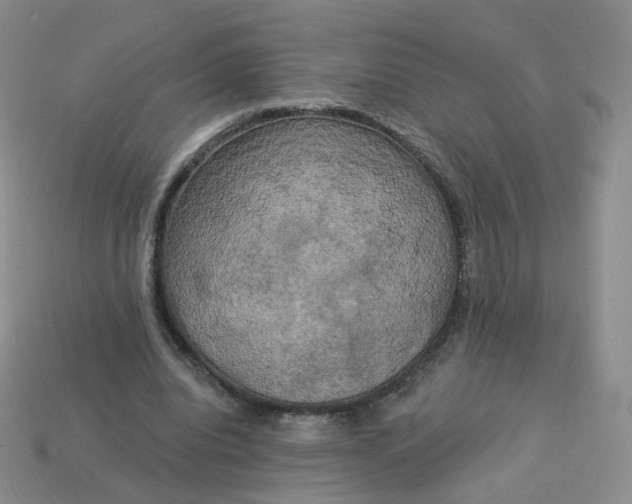 X0000114020440200910161800