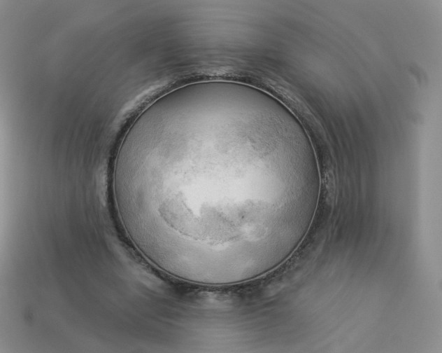 X0000114020442200910161800