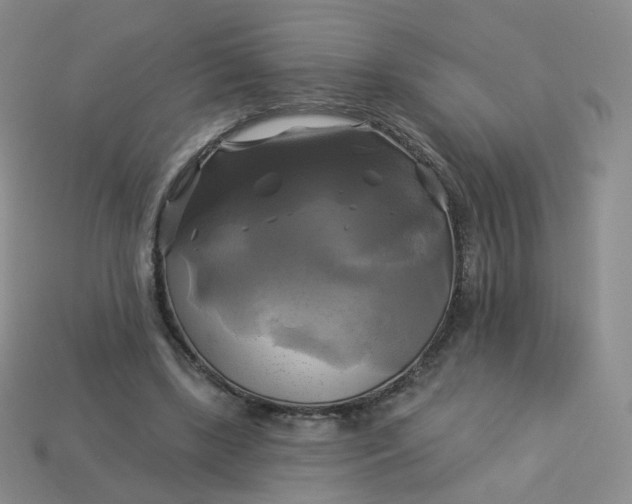 X0000114020443200910161800