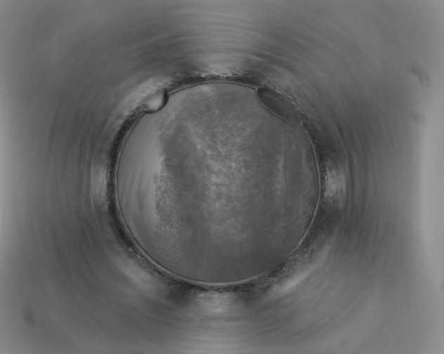 X0000114020444200910161800