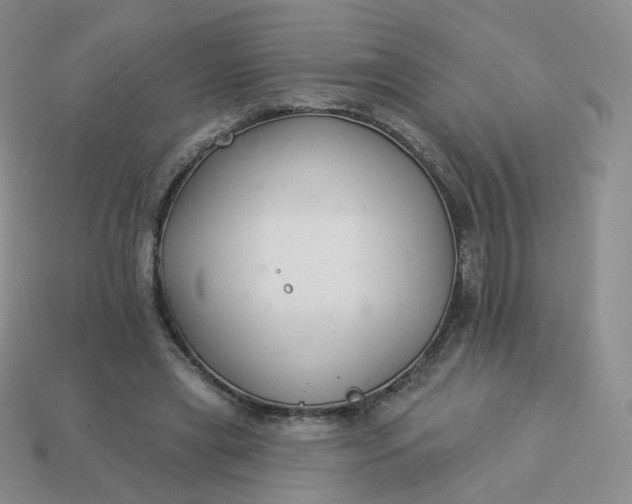 X0000114020445200910161800