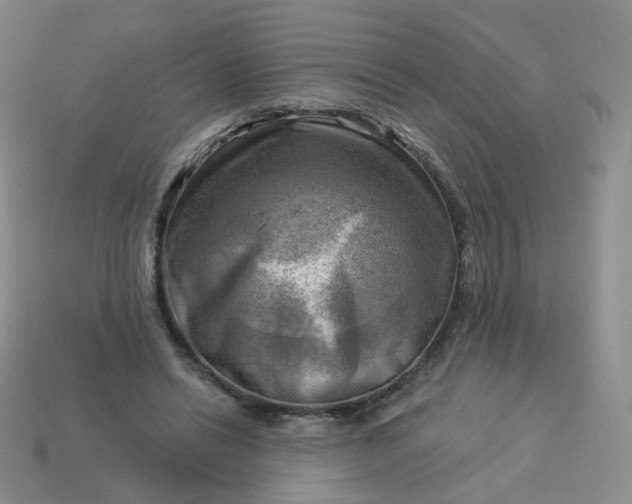 X0000114020446200910161800