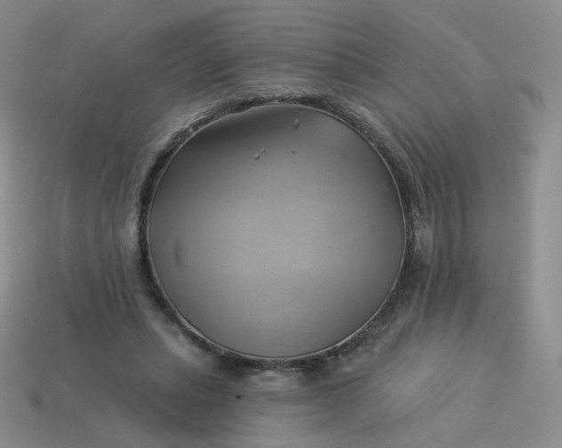 X0000114020447200910161800