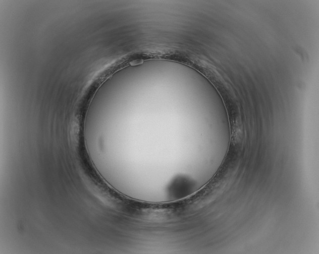 X0000114020448200910161800