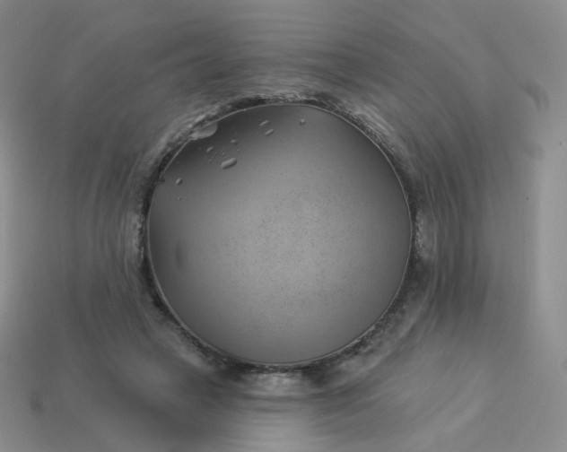 X0000114020449200910161800