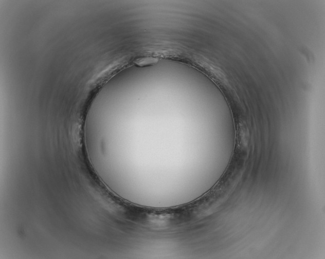 X0000114020450200910161800