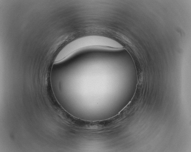 X0000114020452200910161800