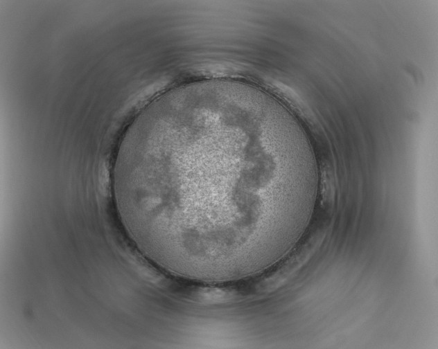 X0000114020453200910161800