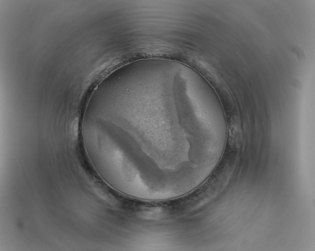 X0000114020454200910161800