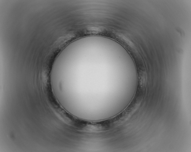 X0000114020455200910161800