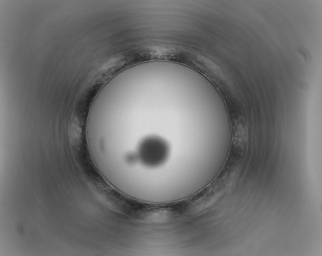 X0000114020456200910161800