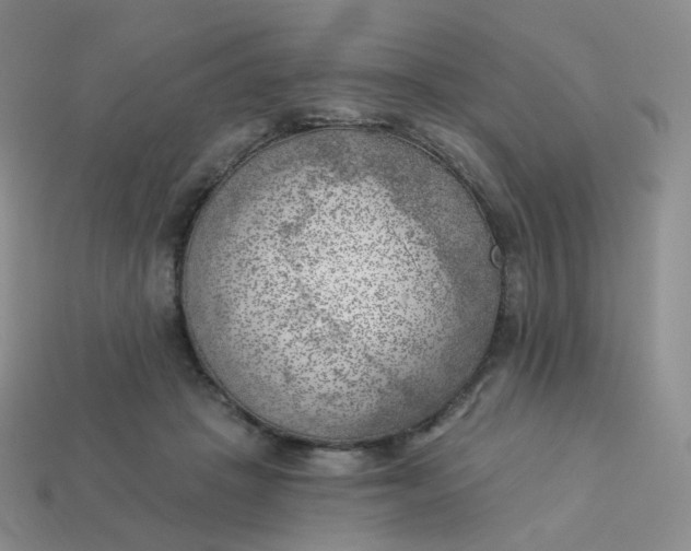 X0000114020457200910161800