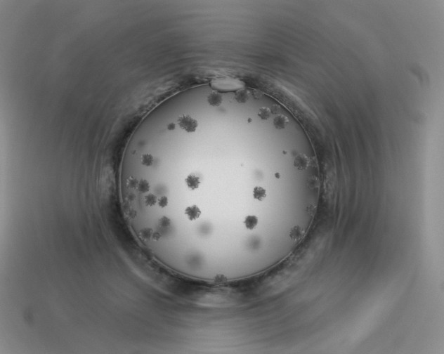 X0000114020459200910161800