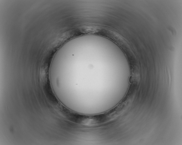 X0000114020460200910161800