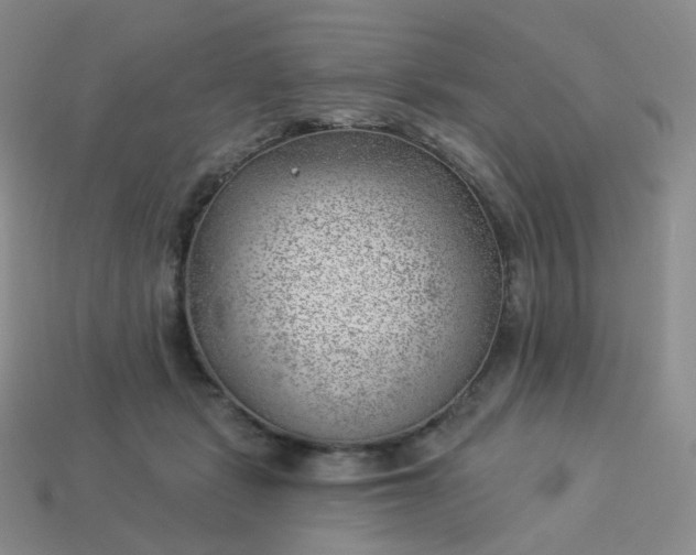 X0000114020461200910161800