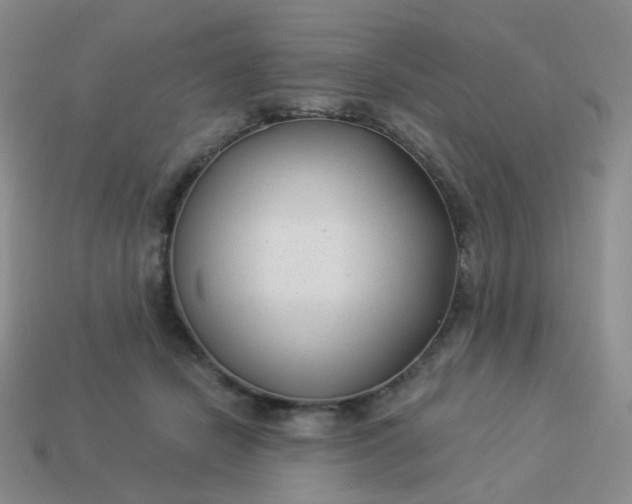 X0000114020462200910161801