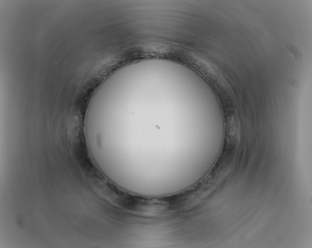 X0000114020463200910161801