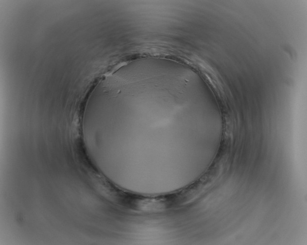 X0000114020465200910161801