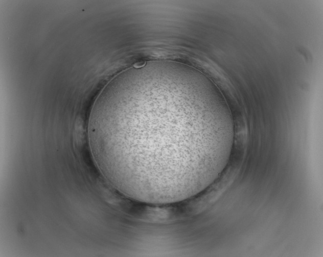 X0000114020469200910161801