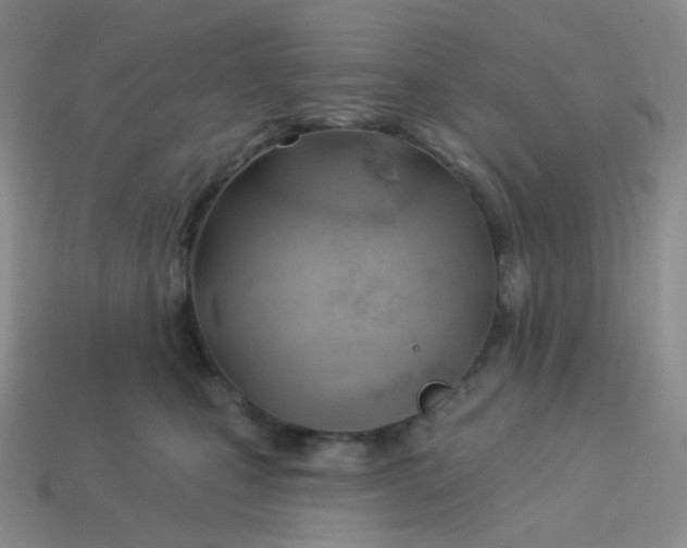 X0000114020471200910161801