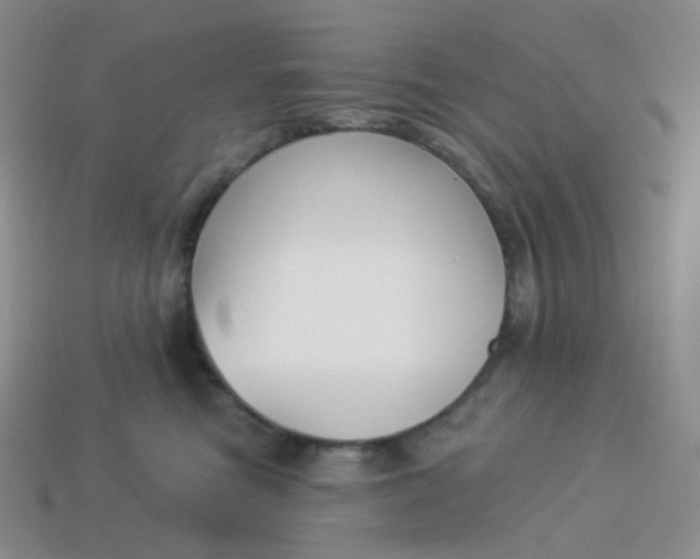 X0000114020473200910161801